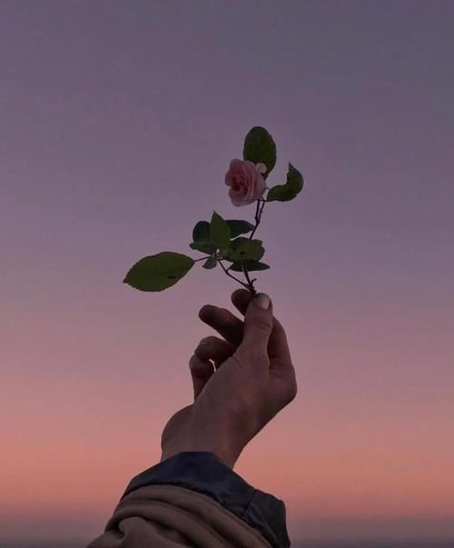 先生面前先失礼　《猜少笔字》