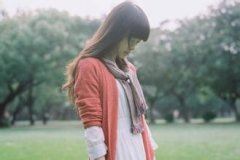 吕不韦为秦皇假父 《诗经一句_卷帘》