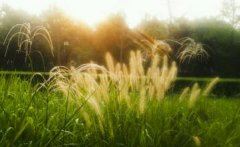 “篇篇直压元郎倒” 《老运动员二》