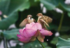 头回发言不熟练 《当代书法家》