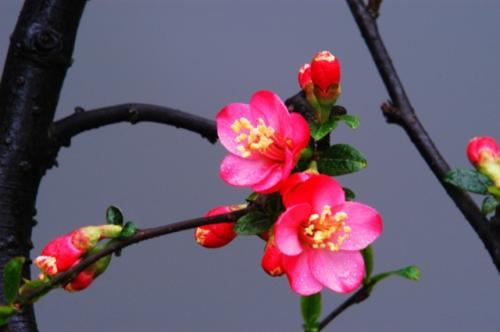 吃不了_兜着走 《医疗用语》