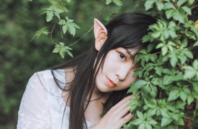 若依卦象_君为人鹰犬_乃命中所定 《5字口语》