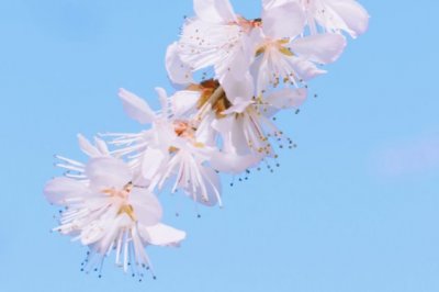 身上滑腻腻_喜欢钻河底-张嘴吐泡泡_可以测天气《猜一动物》