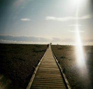 涓涓流水指尖下 《梅艳芳歌曲》