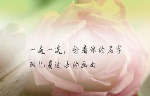 亚运比赛我们最期待什么 《词牌2》