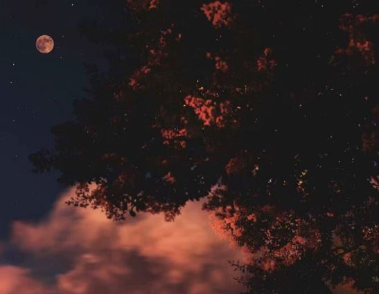 唱响76　《猜乒乓球运动员》