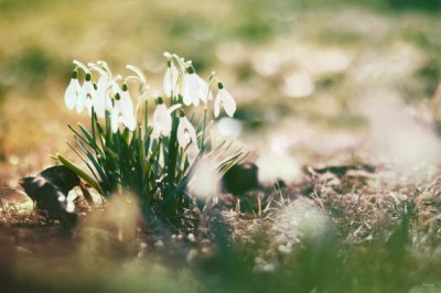 家家户户都参军·掉尾格《猜一数学词语》