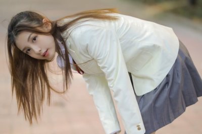 再三退敌半山公　《猜外政要》