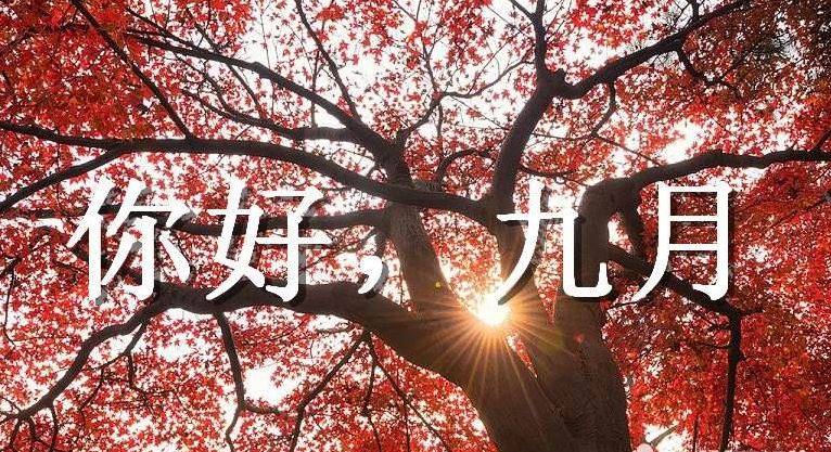 别哭《猜一数学词语》