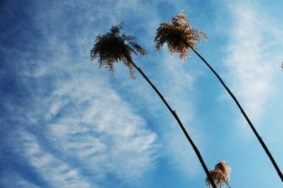 猜谜语题目:太阳出,冰山滴《打一个礼貌用语》