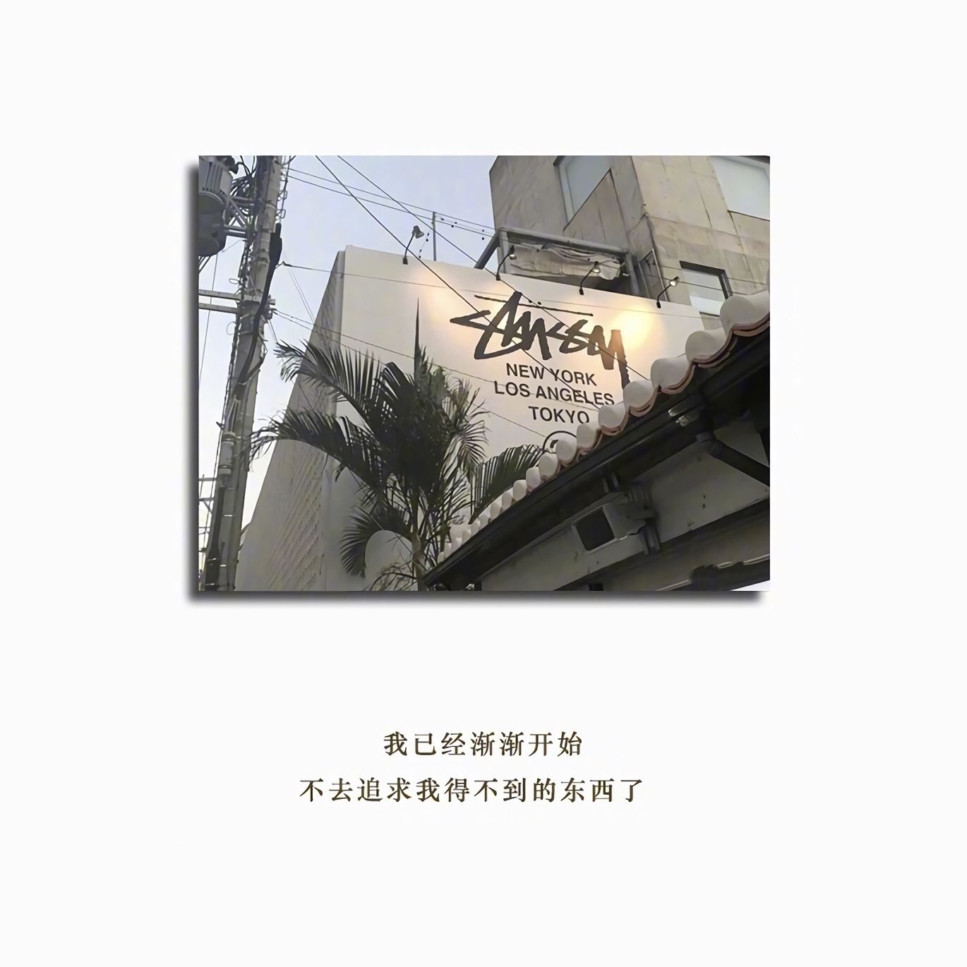 和爷爷对弈_当胜多负少 《复姓二2+2》