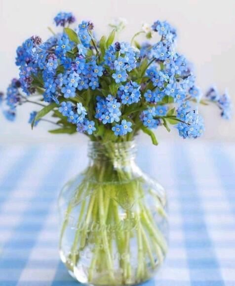 稳稳地骗取口供_没上刑_佩服！ 《6字商业用语》