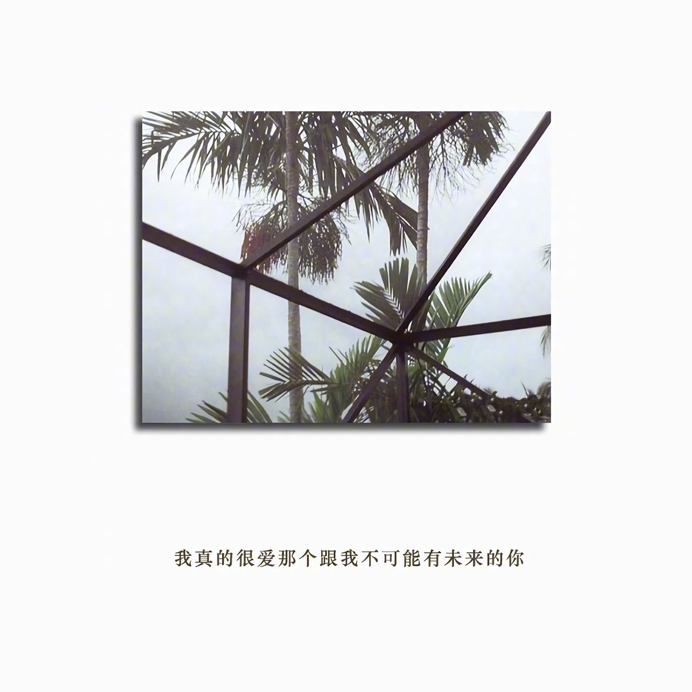 “为有牺牲多壮志” 《环保词语一》