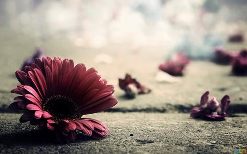 为何没马上就座 《成语卷帘格》