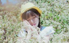 猜谜语题目:哪一种蝙蝠不用休息《打一个成语》