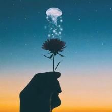 绿林好汉《猜一中药名》