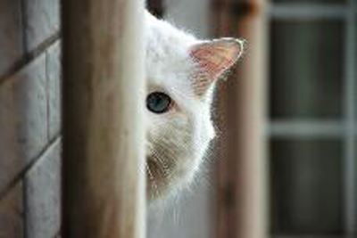 风正一帆悬 《骊珠》