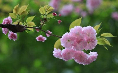 官已升至省级_前途不可限量 《六字头球解说用语》