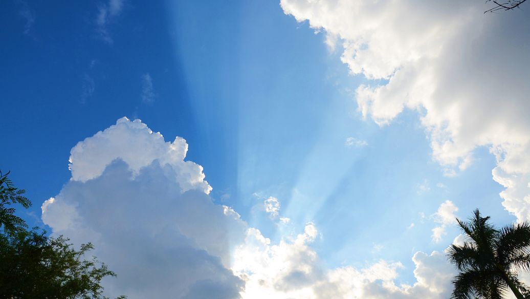 美人含羞荡秋千《猜一动物名》