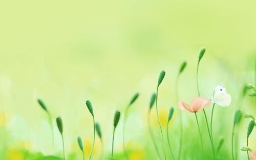 刀斧手埋伏左右_击罄为号《猜一灯谜用语》