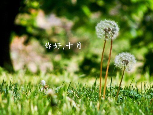 你我他都是六十分 《环保词语一》