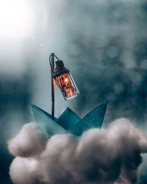 海上一只鸟,跟着船儿跑,冲浪去抓鱼,不怕大风暴《打一个动物》