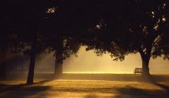 竞赛前夕《猜一数学词语》