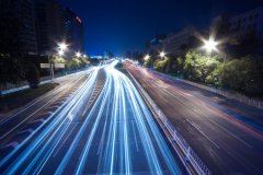 万绿丛中未见花《猜一植物学词语》