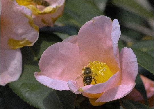 猜谜语题目:百年旧屋《打一个现代作家名》