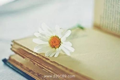 一条大船海上飘_什么燃料都不烧_白色浪花海上冒_货不载来客不捎-　《猜水中