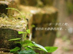 有个地方发生了火灾_虽然有很多人在救火,但就是没人报火警,奇怪吧?