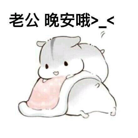 雾重客机没法降 《体育名词》