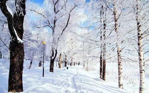 四山纵横,两日稠缪,富由他起脚,累是他领头《打一个字》