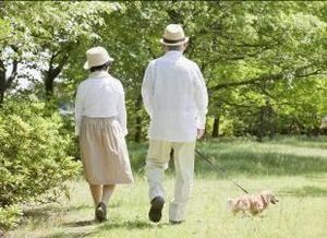转眼斜阳落汕头 《国家森林公园名》