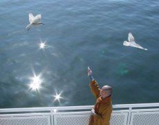 先请老叶放宽心　《猜11笔字》