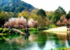 细看小学写字本 《城市》