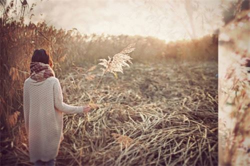 山公启事《猜一动物名》