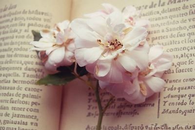 婵玉妙术伤洪锦 《七唐》