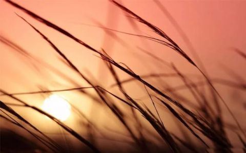 客运量《猜一数学词语》