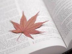 玛雅后来成空城 《名胜》