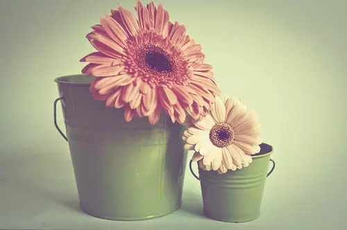 节前解散“斧头帮”　《猜6笔字》