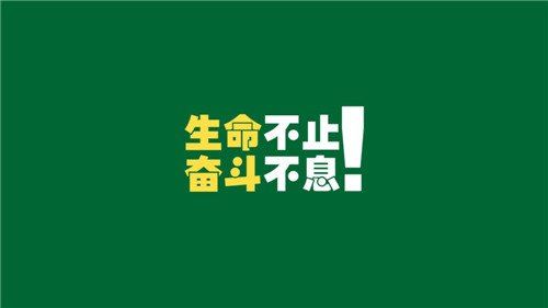 猜谜语题目:埋在土里的豆豆是《打一个蔬菜》