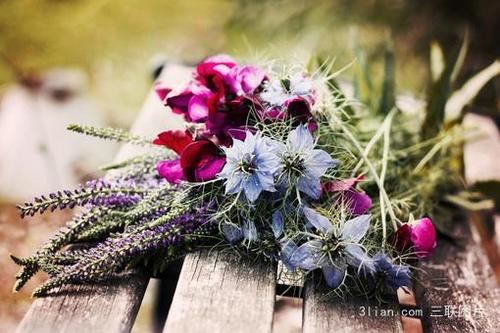 老农都走了 《金庸小说人物》