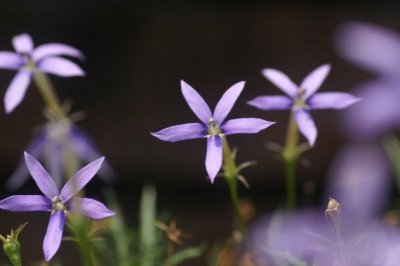 全面禁赛我方心焦_四方活动前腰重活 《打一成语》