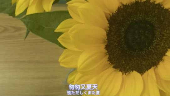 首先和党心连心《猜一字谜》