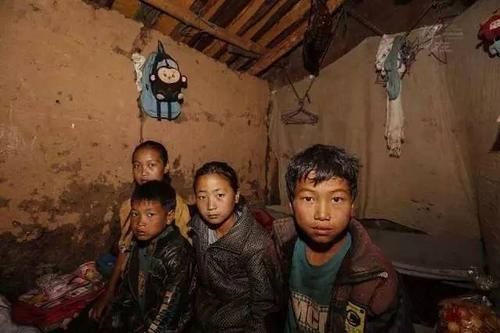 猜谜语题目:白发三千丈《打一个植物学词》