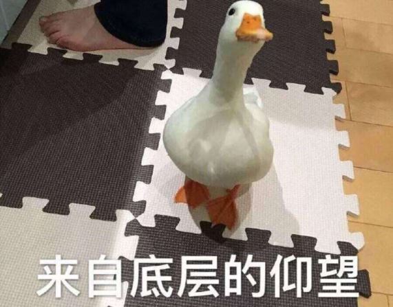 "错、错、错" 《法律名词二》