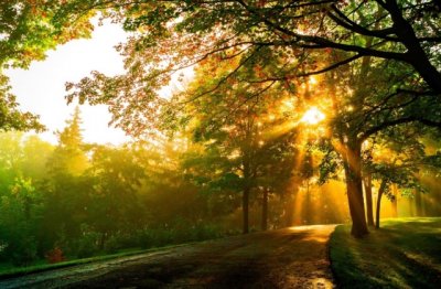 应当精通税法 《教育名词》