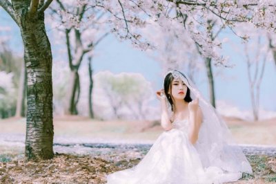 先修十字街_在修月花台_身子不用动_口粮自动来-《猜一动物》