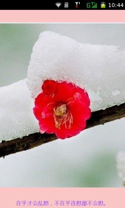 经常迟到《猜一人名》